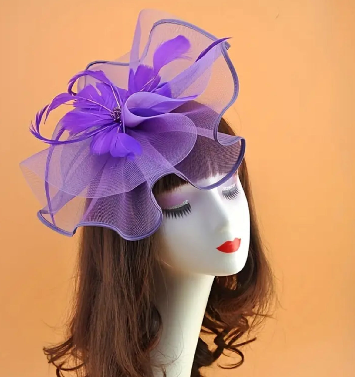 Elegant Mesh Fascinators